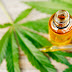 Anvisa aprova nova medicação à base de Cannabis