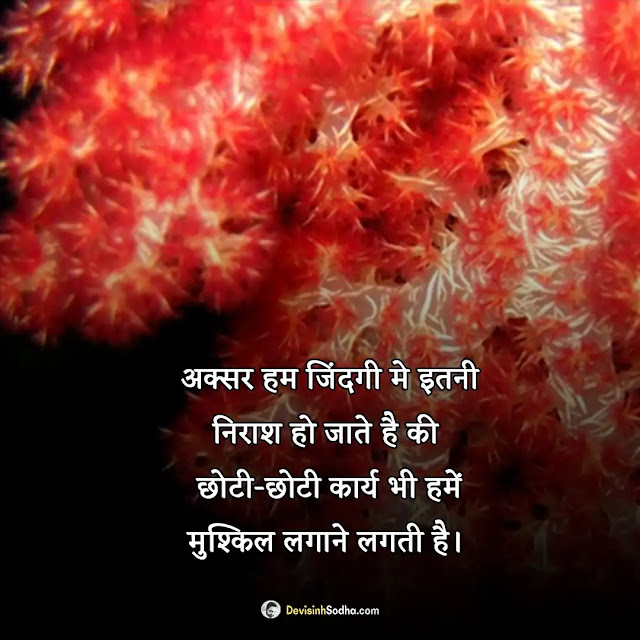 life quotes hindi photos and wallpaper, लाइफ कोट्स इन हिंदी इमेजेज, sad status images in hindi for life, true lines about life in hindi, sad quotes images on life in hindi, happy life status images in hindi, life motivational quotes images in hindi, unique quotes images on life in hindi, emotional quotes images on life in hindi, real life quotes images in hindi