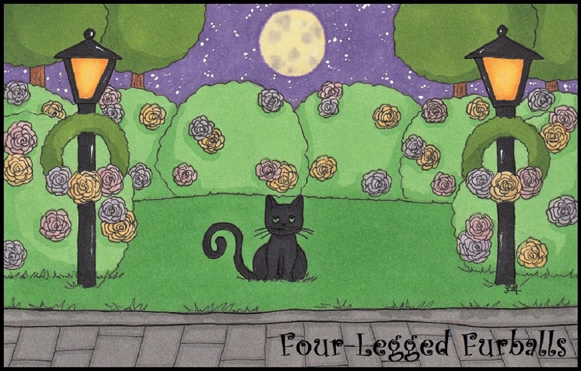 Four-Legged Furballs