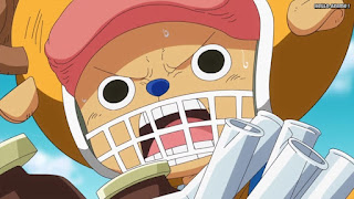 ワンピースアニメ ゾウ編 761話 チョッパー かわいい Tony Tony Chopper | ONE PIECE Episode 761