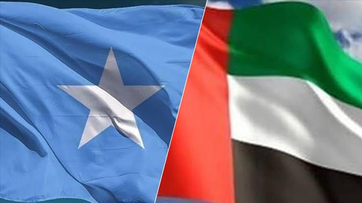 UAE sends aid to the Somali people