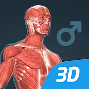 Human Body Educational 3D VR