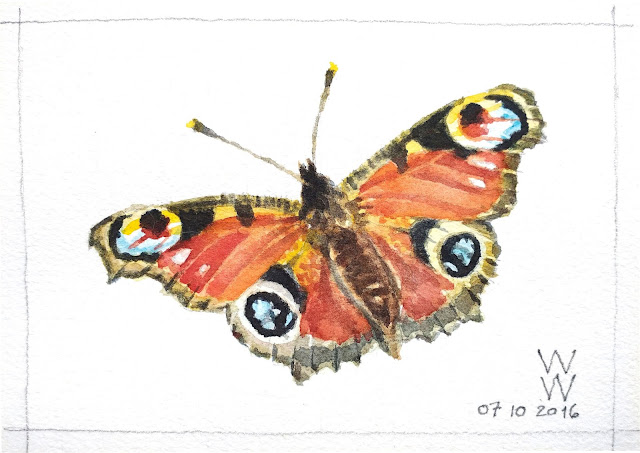 A watercolour of a peacock butterfly with open wings, entitled "Le paon-du-jour ou Aglais io," by William Walkington in 2016