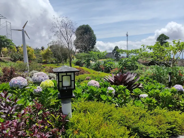 kebun bunga merapi garden