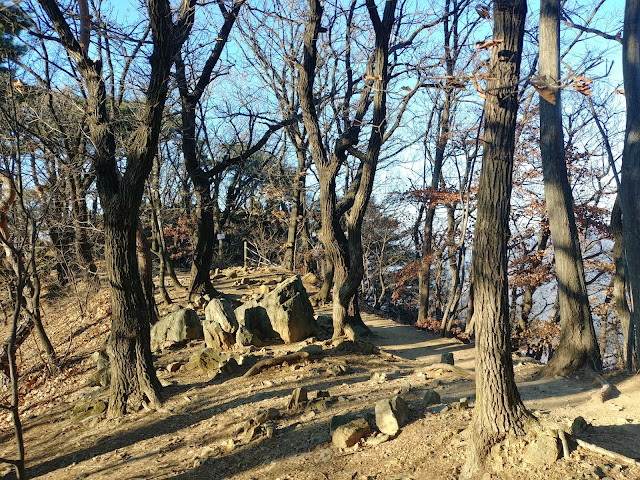 검단산 애니메이션고~곱돌약수~정상~팔당대교 코스 탐방기록