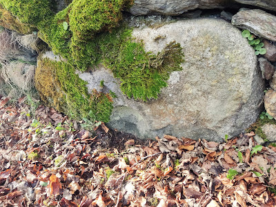 Bullaun Stone, Glendalough