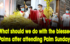 What should we do with the blessed Palms after attending Palm Sunday?