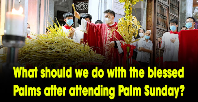 What should we do with the blessed Palms after attending Palm Sunday?