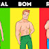 Tudo sobre estrogênio