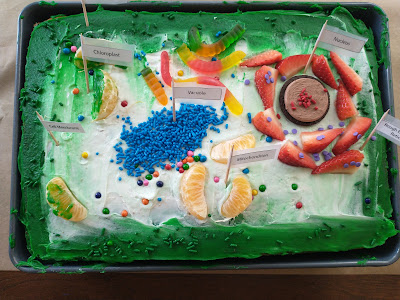 animal cell model project cake