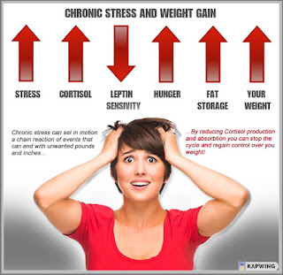 This Stress Hormone Could Be The Reason You Gain Weight!