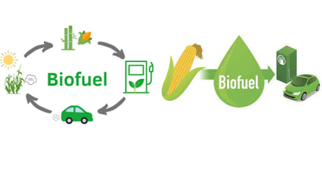 биотоплива