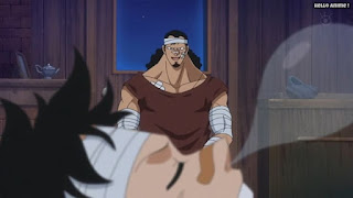 ワンピースアニメ ドレスローザ編 739話 | ONE PIECE Episode 739