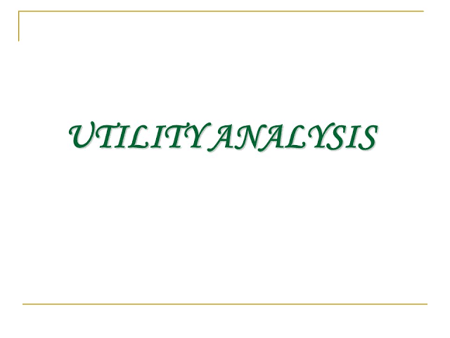 UTILITY ANALYSIS