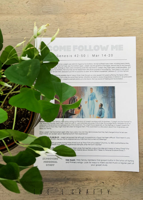View of printed out Come Follow Me study sheet with shamrock plant.