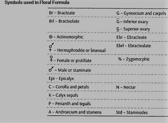 Symbols used in Floral Formula