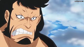 ワンピースアニメ ゾウ編 773話 錦えもん | ONE PIECE Episode 773