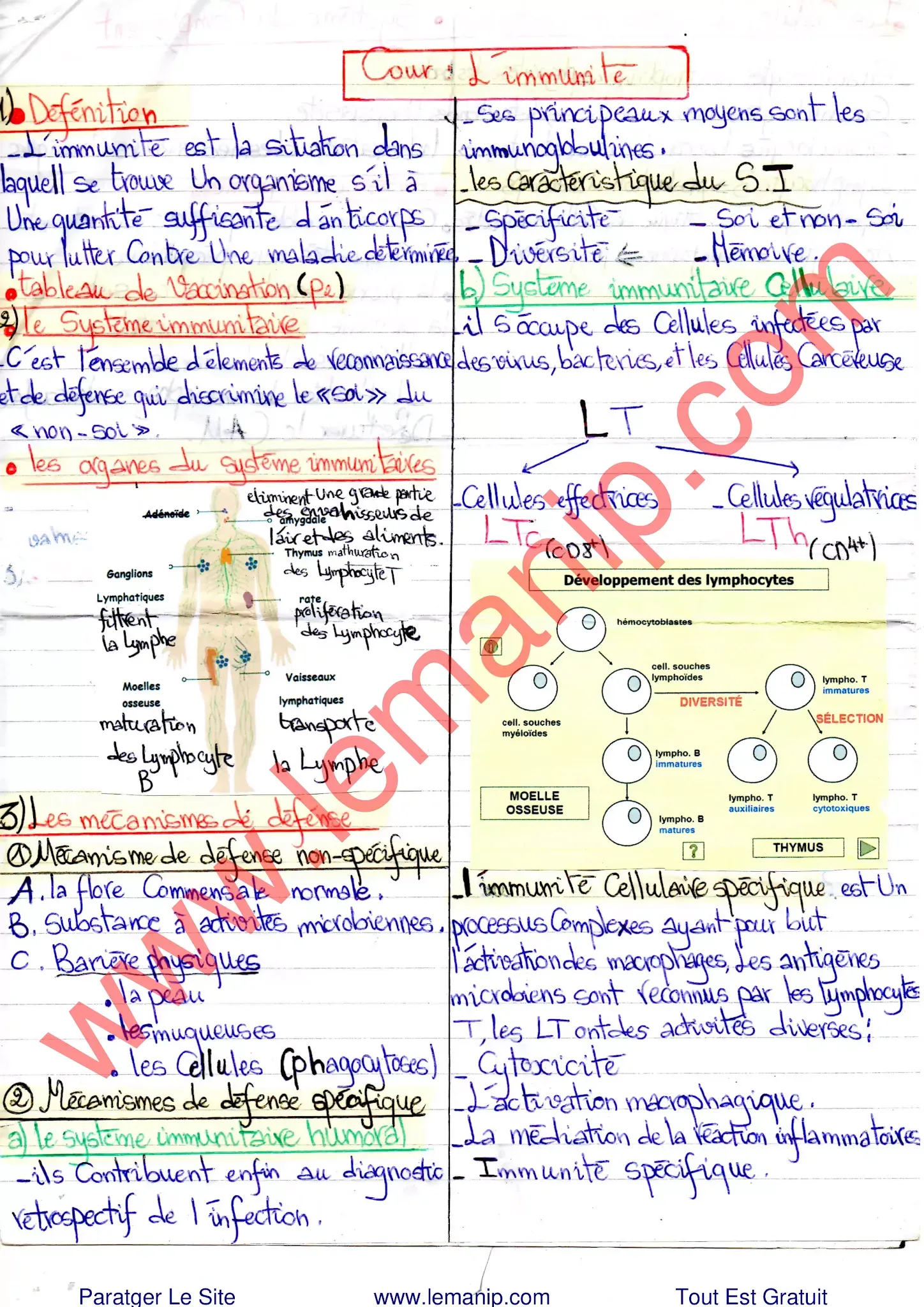 Cours 5 Du Module Hygiène Hospitalière