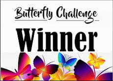I won at Butterfly challenge.