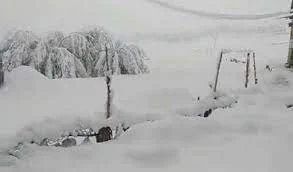 Temperature below zero in most parts of Kashmir Valley, mercury at minus 3 degrees in Pahalgam  It was minus 1.2 degrees Celsius in Qazigund in south Kashmir and 0.6 degrees Celsius in Kokernag. After two days of respite from the cold in Kashmir, the night temperature once again remained below freezing point at most places. Meteorological Department officials said that only in Kokernag in South Kashmir, the temperature remained above the freezing point. He said that the temperature in Srinagar on Thursday night was minus 1.3 degrees Celsius, while there it was 0.4 degrees Celsius on Tuesday night. Officials said the temperature in Pahalgam was minus 3.3 degrees Celsius, the coldest region in Kashmir. Gulmarg Resort in north Kashmir's Baramulla recorded a low of minus 1.8 degrees Celsius. Kupwara in north Kashmir recorded a low of minus 1.9 degrees Celsius.  It was minus 1.2 degrees Celsius in Qazigund in south Kashmir and 0.6 degrees Celsius in Kokernag. The Meteorological Department has predicted dry weather till the end of this month. It is worth noting that the 40-day "Chillai Kalan" phase in Kashmir will start from December 21. During this, the region experiences severe cold.  'SKM's banner is for farmers' rights, there will be no politics in its name'  Talking to NDTV, Yogendra Yadav said that we urge the PM to give us what we are asking for. Yadav made it clear that the demand of farmers of MSP is not new. It is not that we have made this new demand. In the memorandum that we submitted to the government in October, there was talk of MSP also. Yogendra Yadav, a member of the United Kisan Morcha and a farmer leader, has said that the government has agreed to repeal all three agricultural laws, but the farmers should also be satisfied with the minimum support price (MSP) guarantee. Talking to NDTV, Yogendra Yadav said that we urge the PM to give us what we are asking for. Yadav made it clear that the demand of farmers of MSP is not new. It is not that we have made this new demand. In the memorandum that we submitted to the government in October, there was talk of MSP also. Even during 11 rounds of talks with the government, we had raised the demand for MSP.  Yogendra Yadav said, 'A year ago, when we had chosen Constitution Day, the idea was that they would fight to get the constitutional rights of the farmer. Today, exactly one year later, on the same Constitution Day, we are in the fray to get the constitutional rights of the farmer. Never in the last 70 years has there been such a big struggle to get the rights of the farmer. The country would never have seen the resolve to sit in summer and winter. To get this done by a government which is not ready to go on the back foot, would never have achieved such success. Today is a day to celebrate victory. At the same time, it is also the day to show the spirit of the war ahead, that's why I am sitting in Ghazipur. I am too. Neither elections will be fought in the name of United Kisan Front nor will there be any political activity. We decided only in Bengal elections that we will defeat BJP. At the same time, someone contested the election in the name of United Kisan Morcha. Yadav said that after 70 years the farmer has got a national platform, using it in elections would be a very small use. Farmers should become the pivot of this country's politics, this should be its aim. In the policy of Raj, if there is politics to raise the wall, then the farmer must do politics, but the platform of electoral politics should not be United Kisan Morcha and I hope that it will not be made. If you form your own party, contest elections, then there is no problem. If there is politics to raise the wall, then the farmer must do politics, but the platform of electoral politics should not be United Kisan Morcha and I hope that it will not be made. If you form your own party, contest elections, then there is no problem. If there is politics to raise the wall, then the farmer must do politics, but the platform of electoral politics should not be United Kisan Morcha and I hope that it will not be made. If you form your own party, contest elections, then there is no problem.  Stray dogs are about 7 times more than cats in India, many shocking information in the report  The data from The State of Pet Homelessness Index Data for India also revealed a growing population of stray animals, which is at the bottom of the country's 'All Pets Wanted' score. Overall, India scored 2.4 points on a 10-point scale.  There are about 62 million stray dogs and 91 lakh stray cats in India and 77 percent of the country's population says they see a stray dog ​​at least once a week. This has come to the fore in a new report. The data from 'The State of Pet Homelessness Index Data for India' also revealed a growing population of stray animals, which is at the bottom of the country's 'All Pets Wanted' score. Overall, India scored 2.4 points on a 10-point scale. The report said that about 68 percent (about 7 out of 10) of the population say they see a stray cat at least once a week, while about 77 percent (8 in 10) say that once a week At least once they see a stray dog.  According to the new index, there are about eight crore stray cats and dogs in the country, which includes 6.2 crore stray dogs and 91 lakh stray cats. Also, there are 88 lakh stray dogs and cats in the shelter home. The index also states that 85 percent of domestic animals in India are abandoned. In India, 61 percent of the general population say that they do not go to the vet for practical reasons such as distance, reputation or facilities. This is much higher than the global average of 31 per cent and moves down the 'All Pets Care For' score according to the index. Gauri Mulekhi of People for Animals (PFA), a non-governmental organization advocating animal rights in India, said that there are at least three stray dogs for every 100 people in India and expressed concern over the increase in abandoned animals. Of. According to the report, there are an estimated 75 million homeless dogs and cats in China, 48 million in the US, 20.6 million in Germany, 2 million in Greece, 7.4 million in Mexico, 4.1 million in Russia and South Africa and 1.1 million in Britain.  Union Minister Narayan Rane claims, 'Government will fall in Maharashtra by March, BJP government will be formed'  Maharashtra's prominent BJP leader and Union Minister Narayan Rane has said that by March, the current government will be brought down in Maharashtra and the BJP government will be formed.  Maharashtra: The bitterness between the Shiv Sena-led Maha Vikas Aghadi government in Maharashtra and the main opposition BJP is not decreasing. Maharashtra's prominent BJP leader and Union Minister Narayan Rane has said that by March, the current government will be brought down in Maharashtra and the BJP government will be formed. It is worth noting that the BJP's relations with Shiv Sena, which was once a special ally of NDA, are getting strained and Narayan Rane's current statement can further aggravate the matter. Later, he had joined the Congress party and left the Congress and joined the BJP.  Meanwhile, political developments have intensified in Delhi regarding Maharashtra. Maharashtra BJP President Chandrakant Patil met Union Home Minister and former BJP chief Amit Shah in Delhi yesterday. Former CM of the state Devendra Fadnavis also met Amit Shah, later Fadnavis and Chandrakant Patil also met BL Santosh. Nationalist Congress Party (NCP) chief Sharad Pawar and another party leader Praful Patel are also currently in Delhi to attend the parliamentary committees meeting.