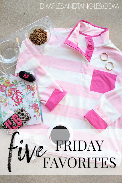 Five Friday Favorites | Acrylic Pet Food Dish | Pink Striped Sweatshirt | Shadow Letter Monograms | Candle Warmer | Affordable Gold Hoop Earrings