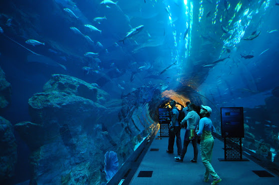 The Dubai Mall