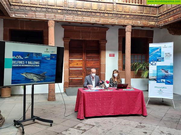 El Cabildo presenta la primera guía de avistamiento de cetáceos