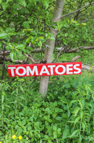 vintage inspired DIY tomatoes sign | On The Creek Blog // www.onthecreekblog.com