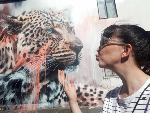 Leopard Street art - Salt River / Woodstock art tours