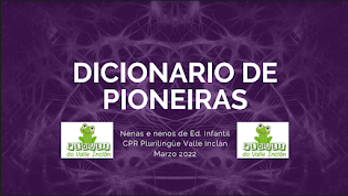 DICIONARIO DE PIONEIRAS