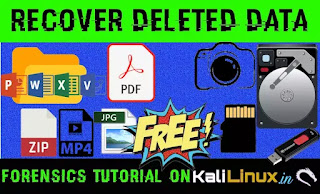 recover premanently deleted files on kali linux