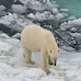 Los glaciares de Groenlandia se reducen por 25º año consecutivo