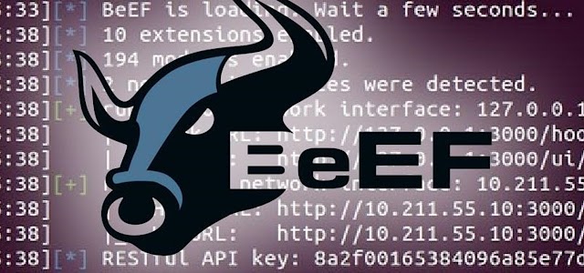 Responding to Browser Compromise: Safeguarding Against BeEF Exploitation