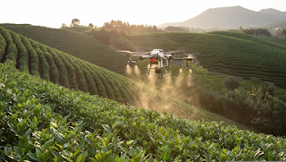 Farmers Operating Agriculture Drone in Pakistani Field