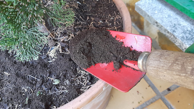 Humus de lombriz o vermicompost