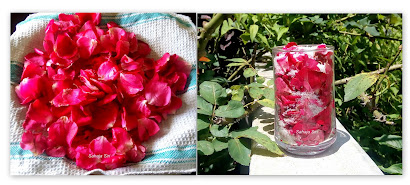 Rose petal Jam