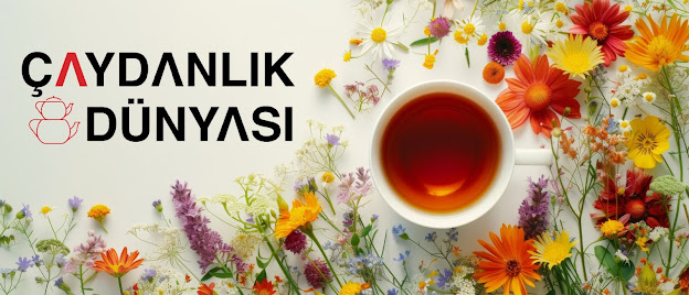 Çaydanlık Dünyası