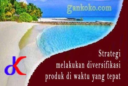 https://www.gankoko.com/2020/11/strategi-melakukan-diversifikasi-produk.html