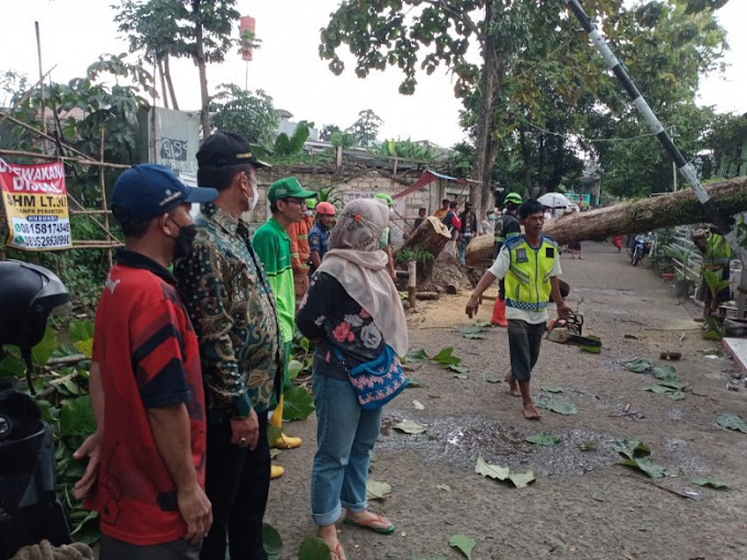 Respon Cepat Tangani Pohon Tumbang. Camat Panmas Apresiasi Satgas DLHK