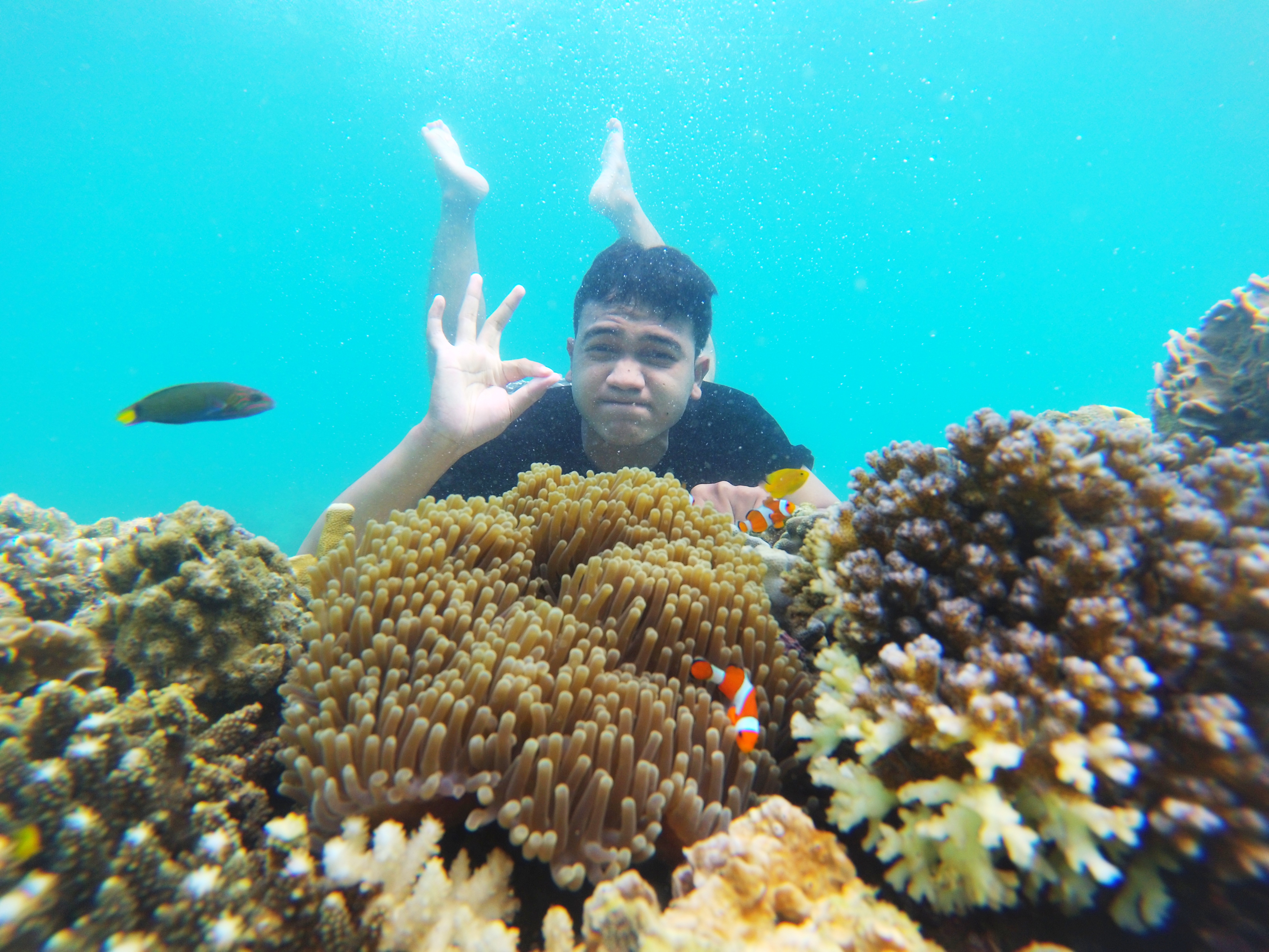 spot foto underwater di Snorkling Jatim Gili Ketapan Probolingo