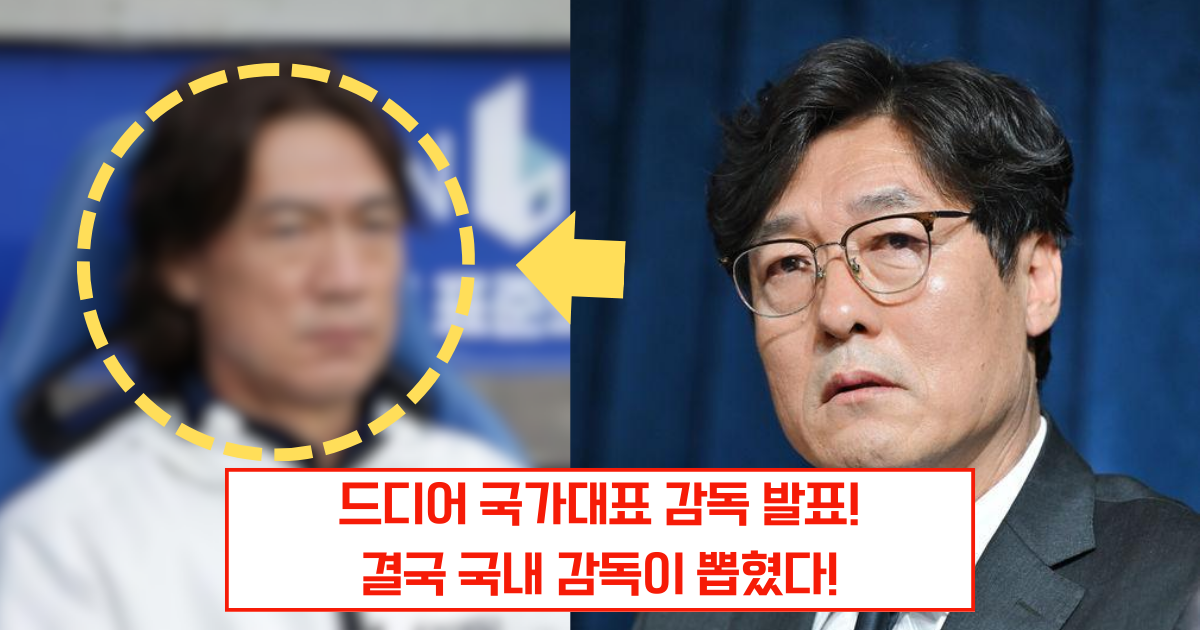 홍명보 감독의 복귀, 대한축구협회의 후보 선정 과정과 논란