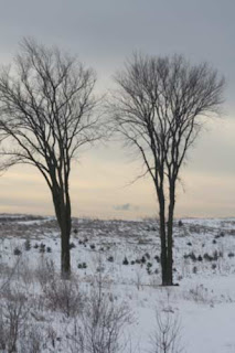 Downsview Park