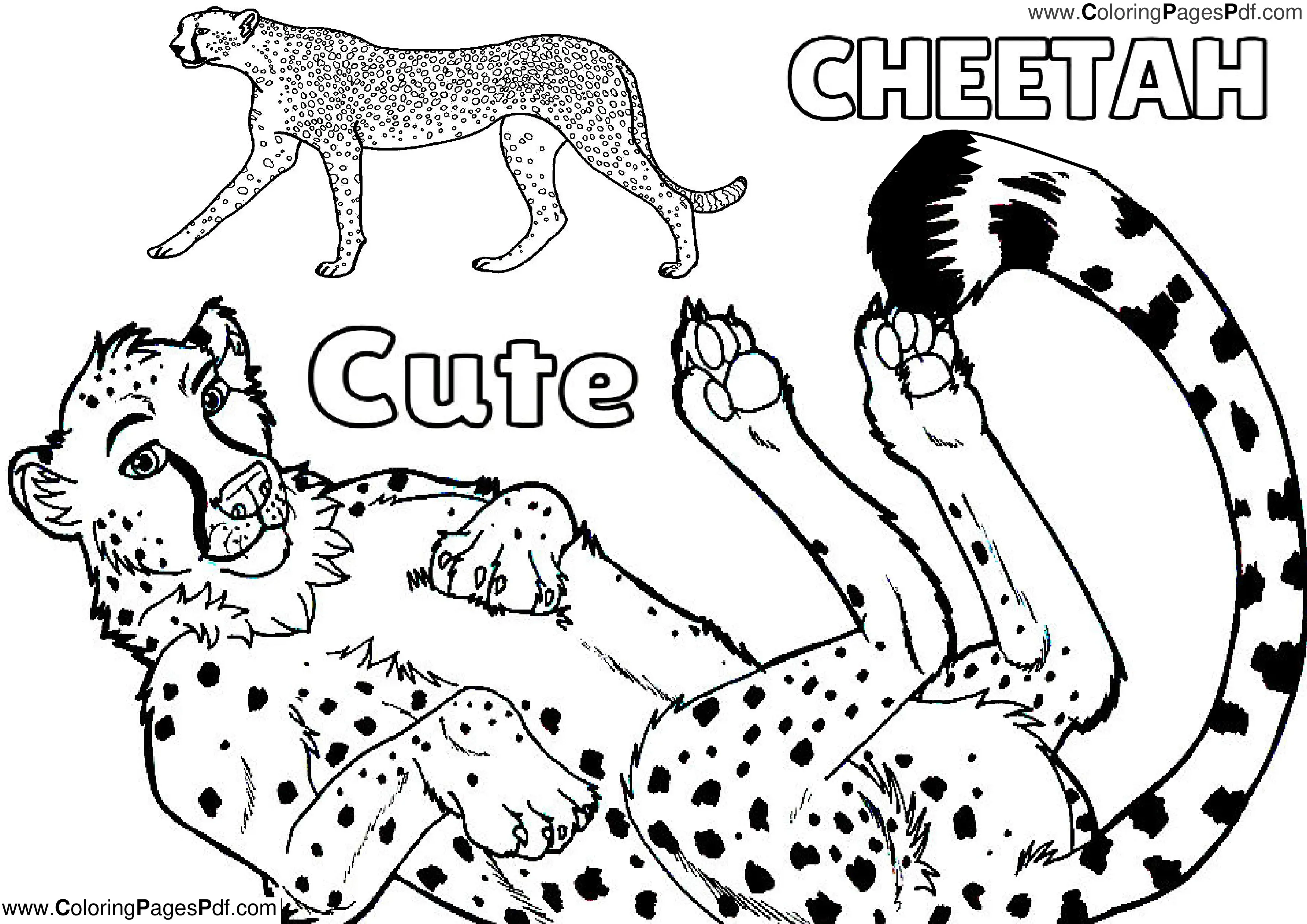 Cheetah coloring pages for girls