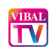 Vibal TV