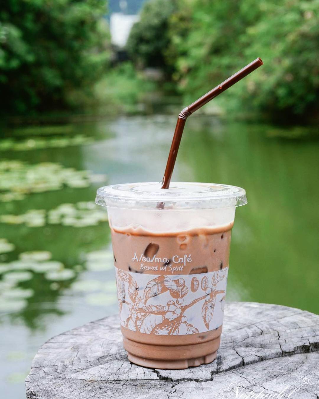 Asama Cafe คาเฟ่เชียงใหม่