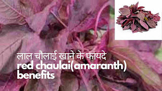 गुणों का खजाना लाल चौलाई(amaranth) के10 अनोखे फायदे