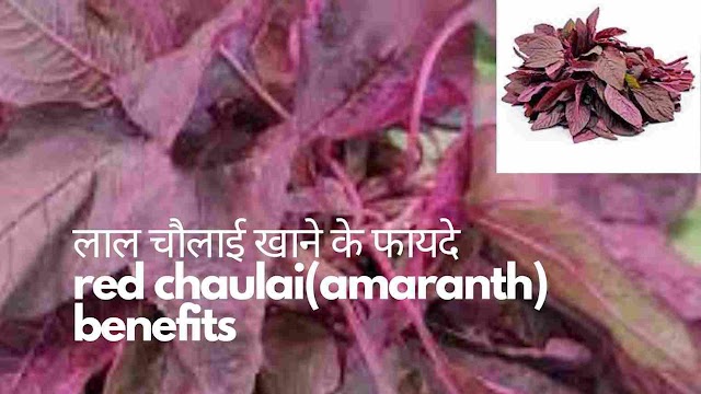 गुणों का खजाना लाल चौलाई(amaranth) सब्जी खाने के10 अनोखे फायदे 