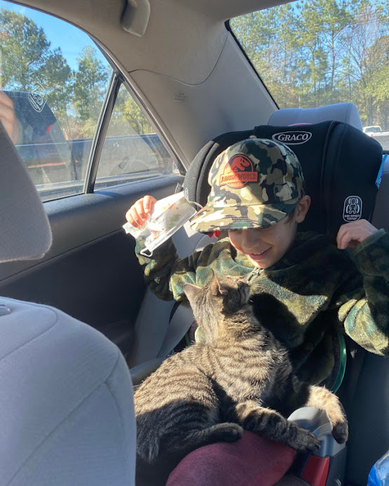 Photo taken immediately after parents of a four-year-old child adopt a stray cat in Walmart carpark
