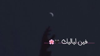 كلمات اغنية فين لياليك فضل شاكر - ميدلي زينة عماد  كاملة مكتوبة