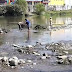 Buscarán apoyo de Rotary International para sanear el río Bobos